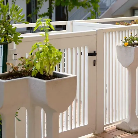 - Ammiraglia Lignano Sabbiadoro